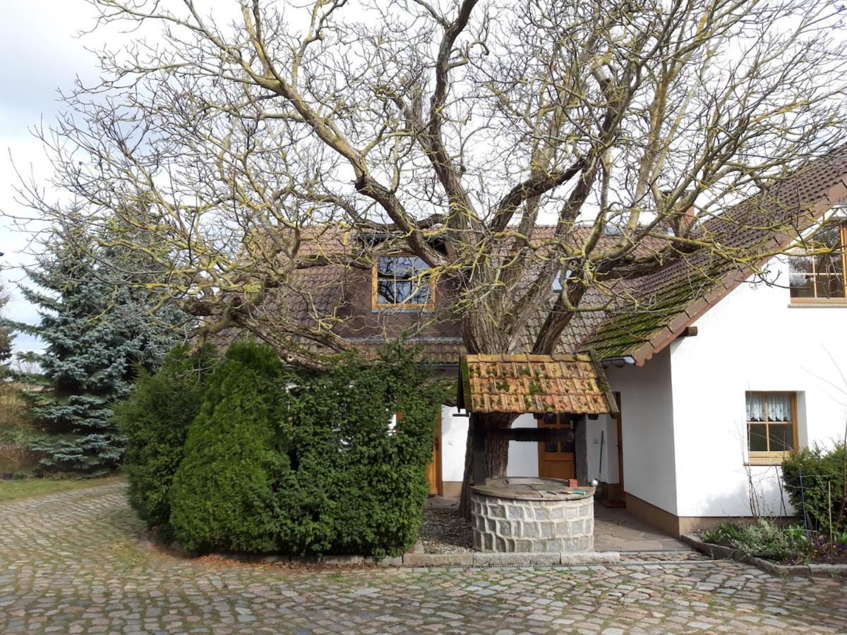 Hébergement de vacances Ein Bett Im Kornfeld - Haus Weitblick - Mit Innenpool