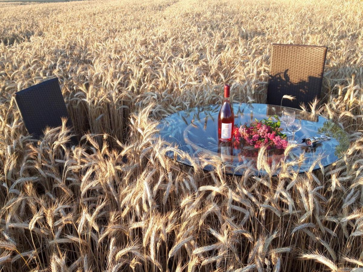 Ein Bett Im Kornfeld - Haus Weitblick - Mit Innenpool Schonfeld (Mecklenburgische Seenplatte)